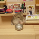 Illustration for article titled Hamster Bartenders Are the Best Bartenders